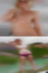 brewsterPassaro869, , 