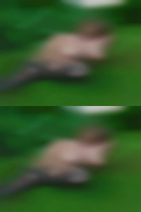 Rafmcinturff, , 